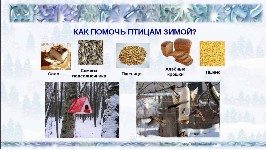 Куединская газета